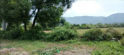 Marwahi, Chhattisgarh 495118, India preview 3