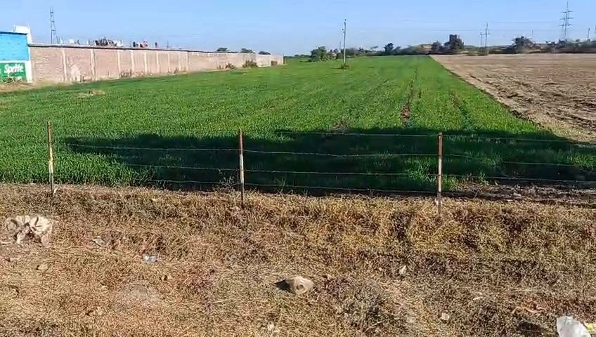 8RWR+GR5, Najarpur, Madhya Pradesh 456550, India