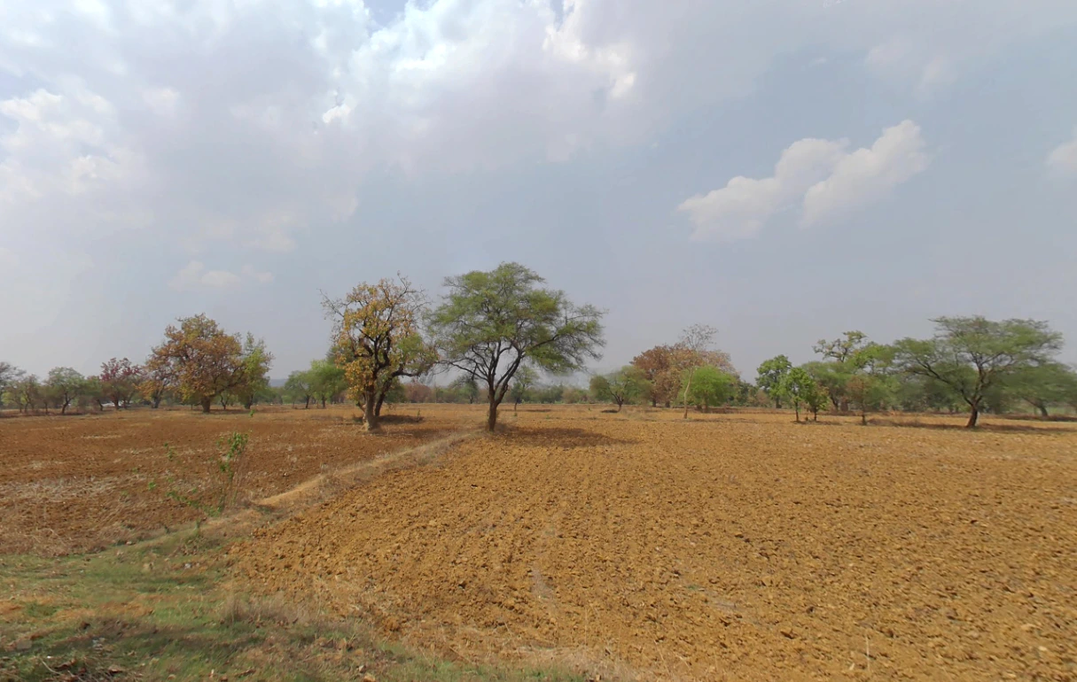 Boria Kal, Chhattisgarh 492015, India