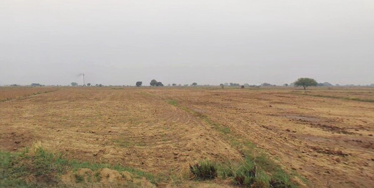 Puranpur, Uttar Pradesh 262122, India