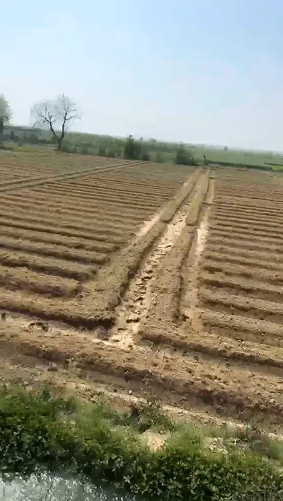 W6GH+4JG, Baghpat, Pali, Uttar Pradesh 250609, India preview 2