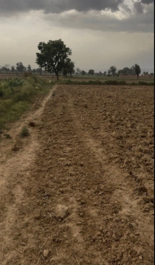 FJ65+C7 Mahwa Kalan, Alwar, Rajasthan, India preview 2
