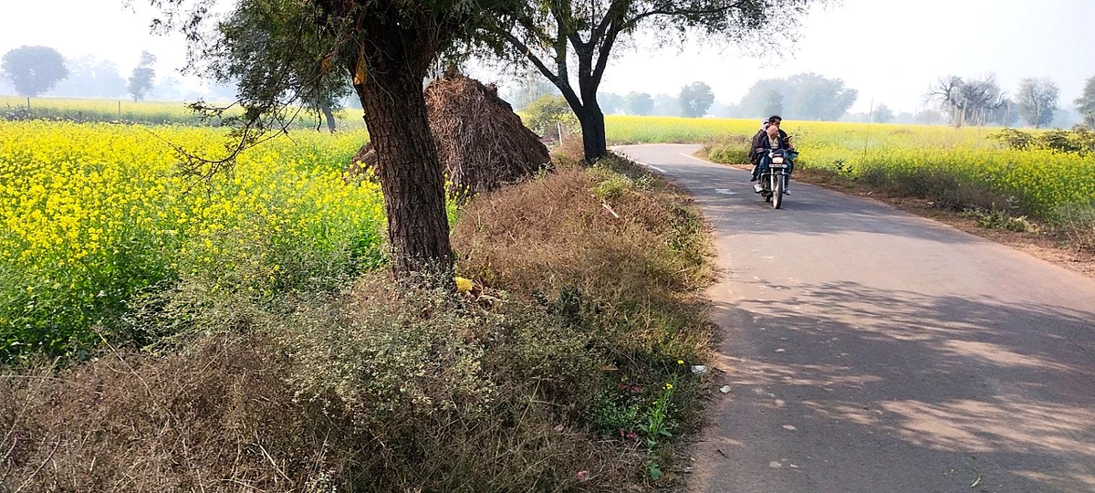 Barodameo, Rajasthan 301021, India