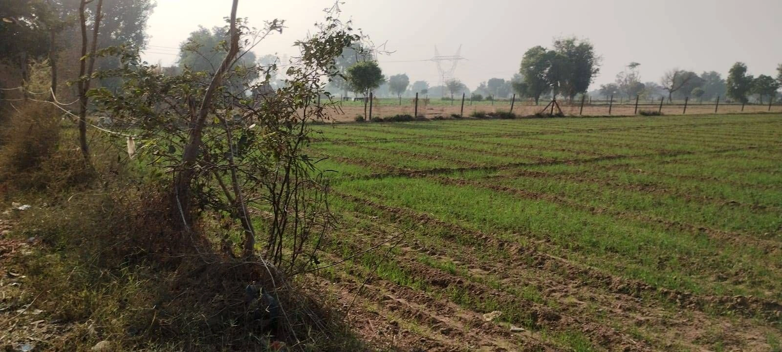 58FH+F9 Aghwanpur, Palwal, Haryana, India