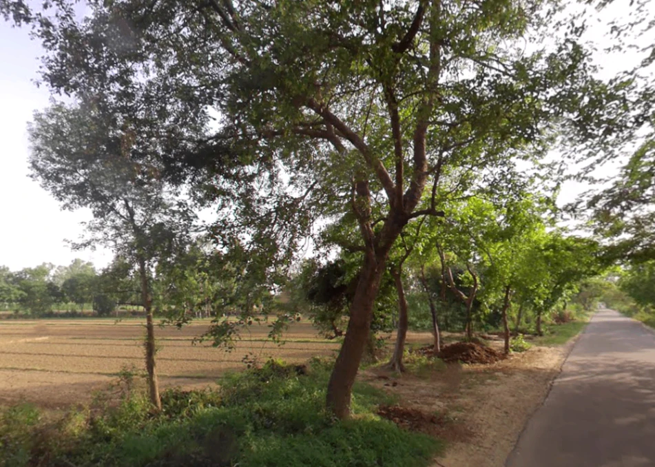 Bahadurgarh, Uttar Pradesh 245208, India
