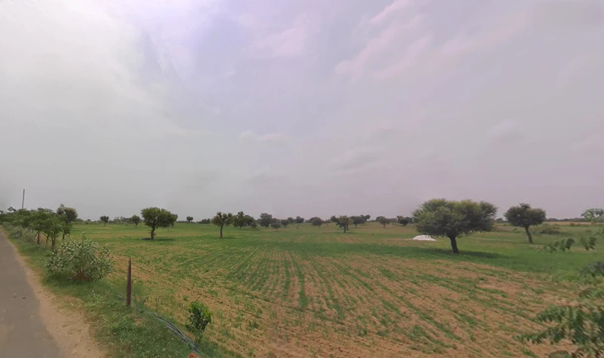 Charkhi Dadri, Haryana 127306, India