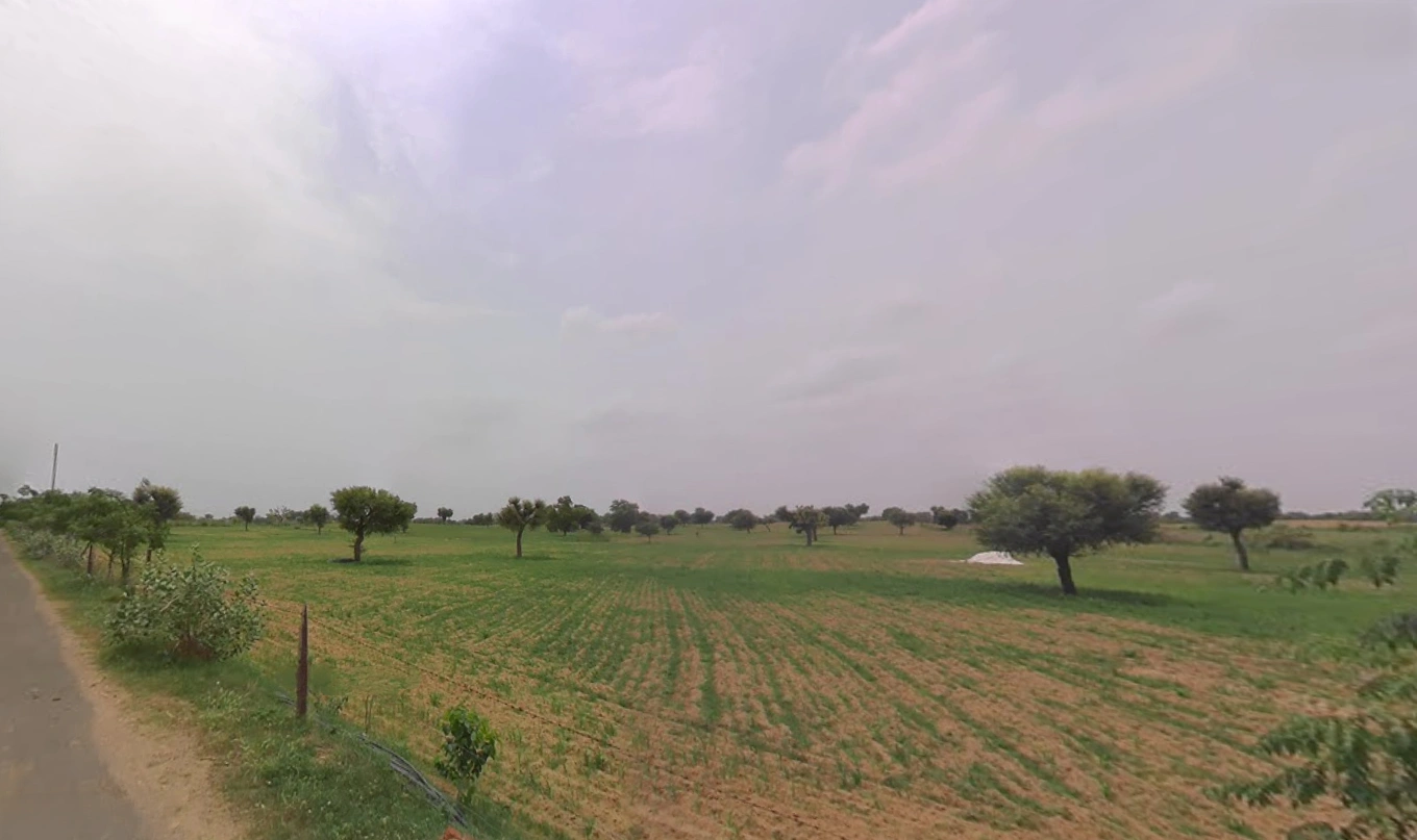 Charkhi Dadri, Haryana 127306, India