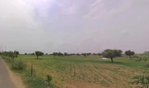 Charkhi Dadri, Haryana 127306, India preview 3