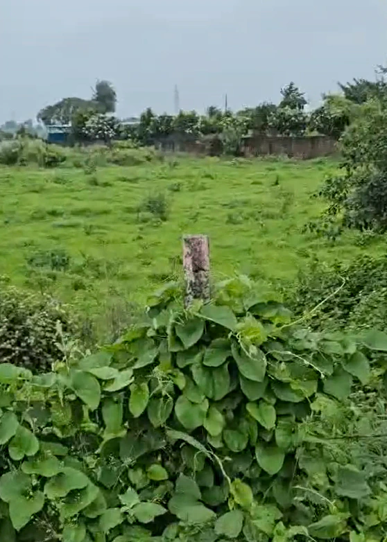 JVQ4+P7J, Indore, Morod, Madhya Pradesh, India