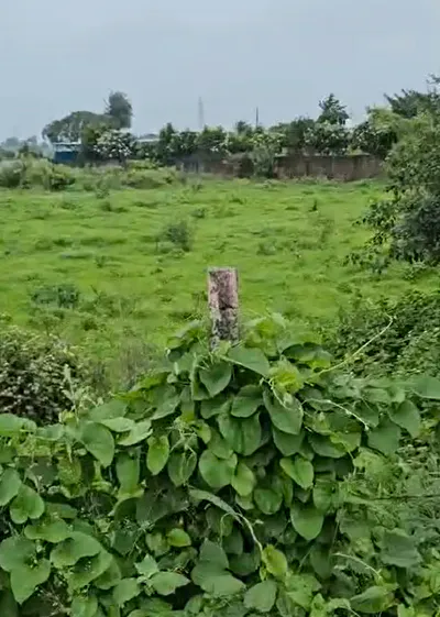 JVQ4+P7J, Indore, Morod, Madhya Pradesh, India preview 2