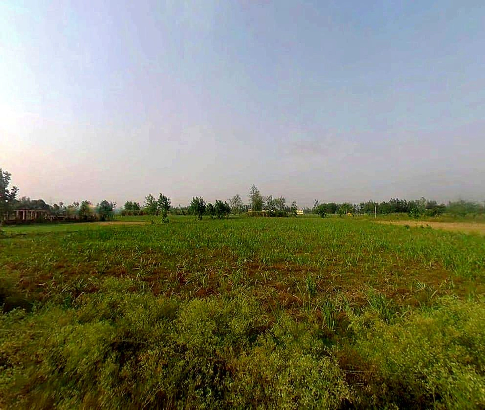 5JFC+MRQ, Jhitkari, Uttar Pradesh 250342, India