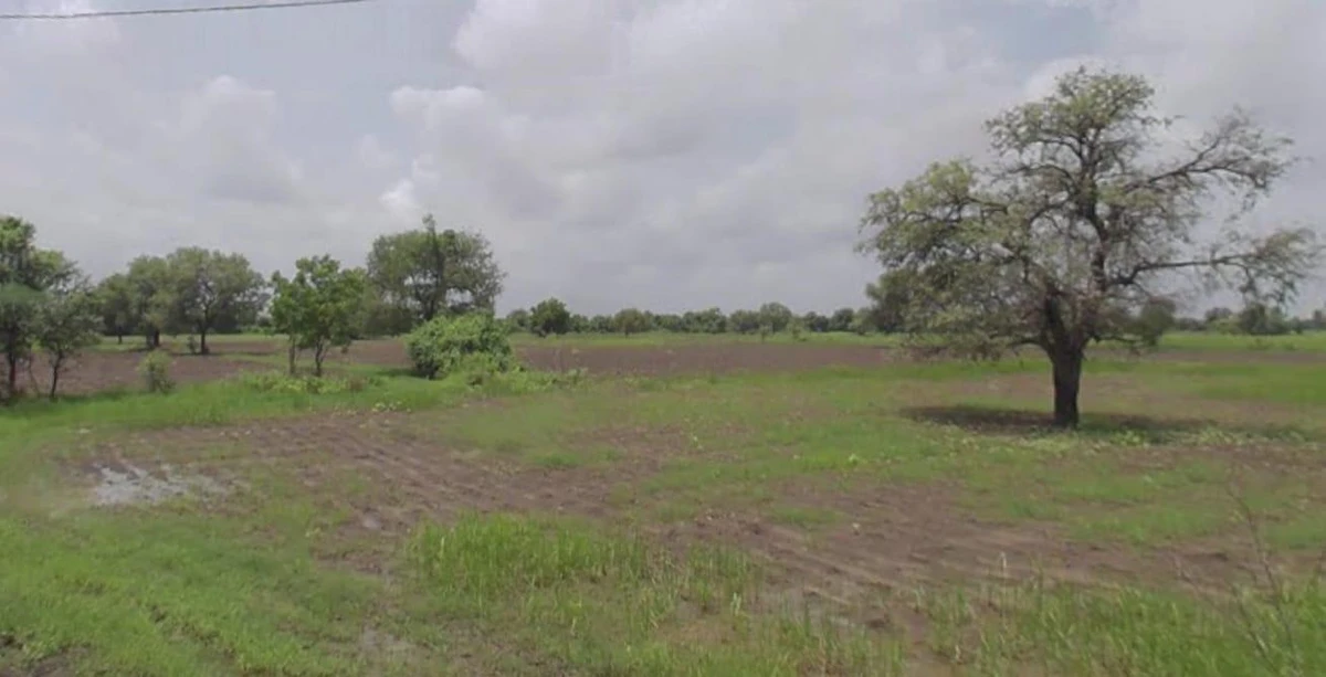 Polakhal, Madhya Pradesh 455227, India