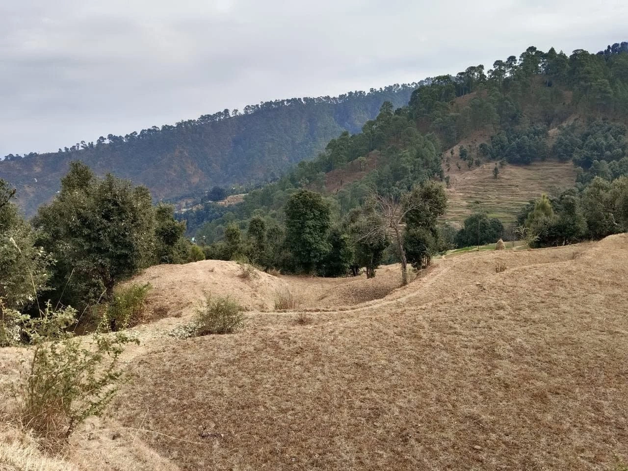 Maldevta Road, Danda Gaon, Uttarakhand, India
