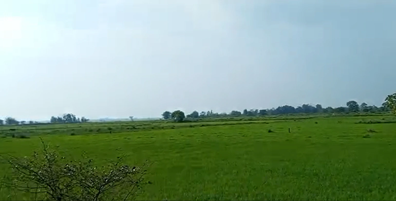 3R7F+489, Ujjain, Ramwasa, Madhya Pradesh, India