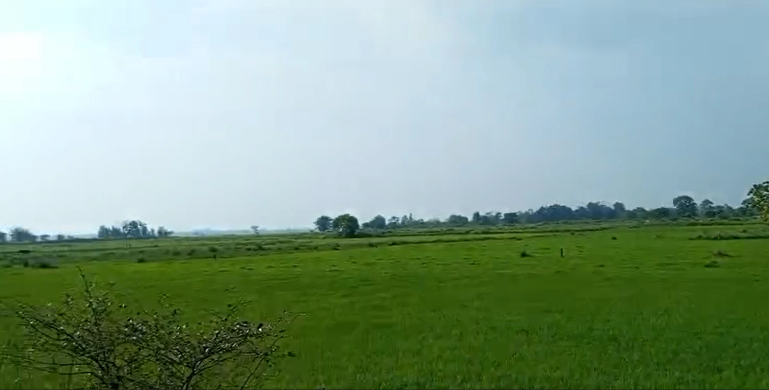 3R7F+489, Ujjain, Ramwasa, Madhya Pradesh, India