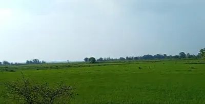 3R7F+489, Ujjain, Ramwasa, Madhya Pradesh, India preview 2