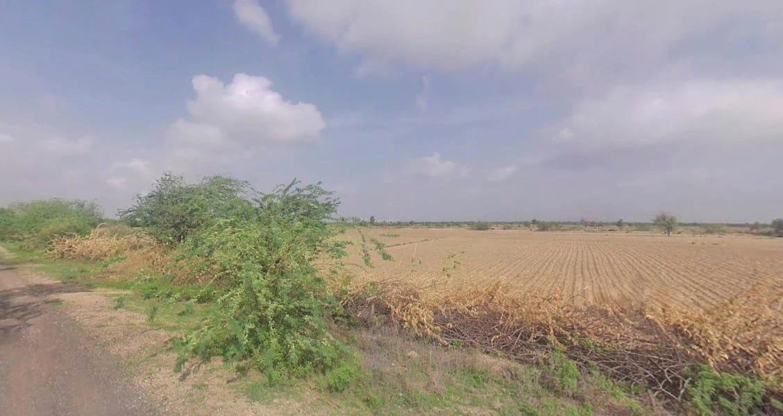 Keerwa, Rajasthan 306422, India