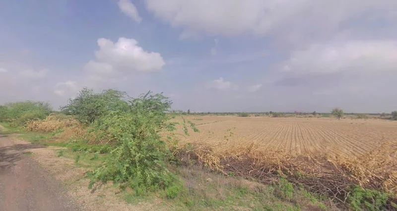 Keerwa, Rajasthan 306422, India preview 2