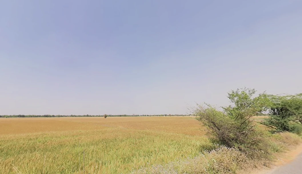 Yakubpur Stand, SH -15, Gurugram Rd, Jhajjar, Yakubpur, Haryana 124515, India
