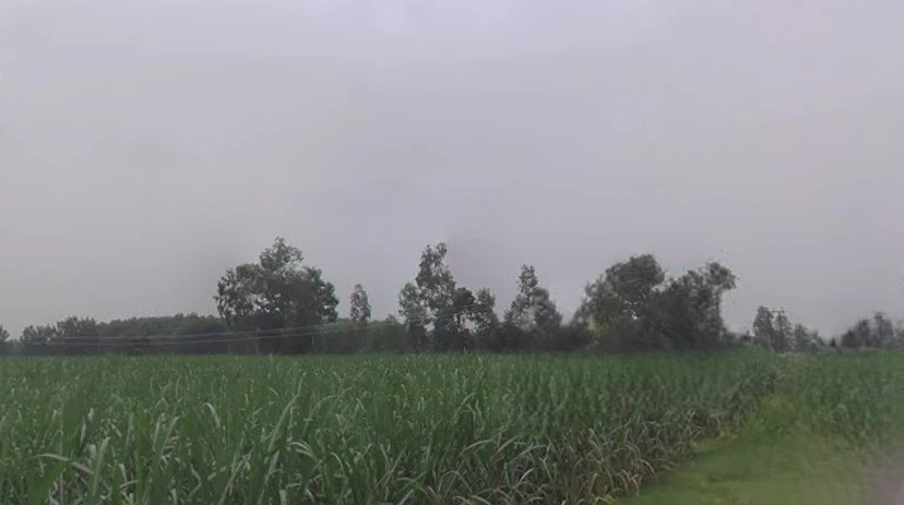Chhapar, Uttar Pradesh 251307, India