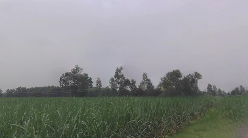 Chhapar, Uttar Pradesh 251307, India