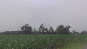 Chhapar, Uttar Pradesh 251307, India preview 2