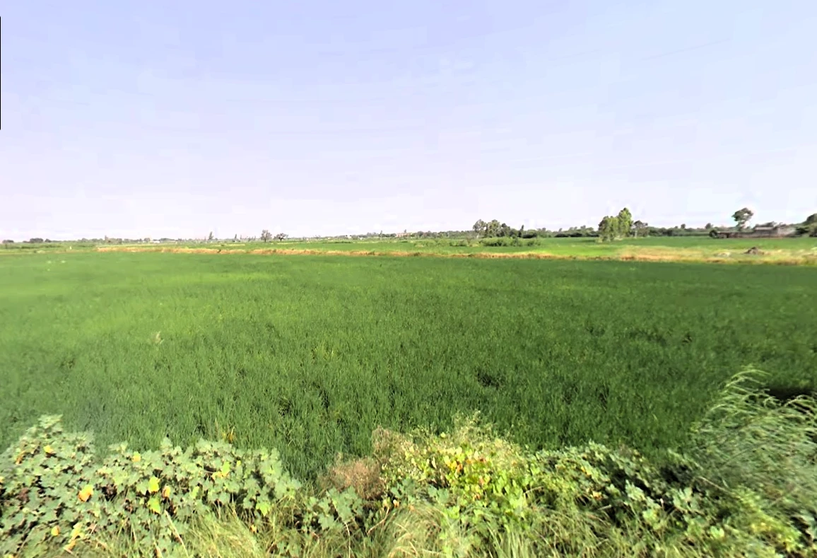 Akehri Madanpur, Haryana 124146, India