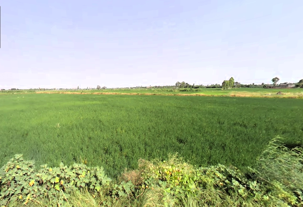 Akehri Madanpur, Haryana 124146, India