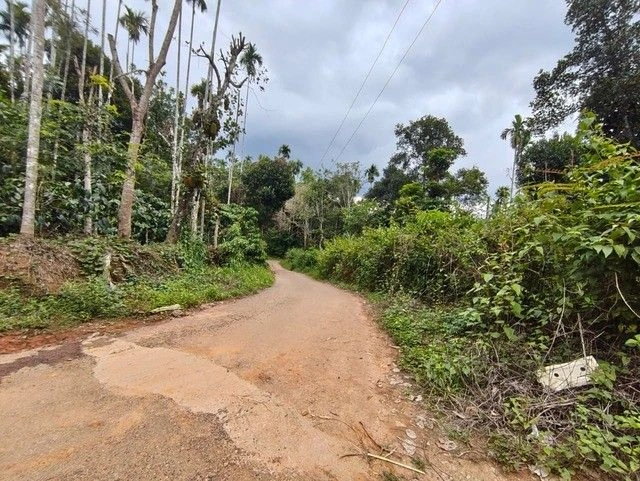 Meenangadi, Kerala, India