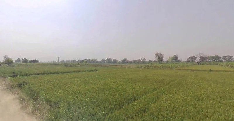 Painga, Uttar Pradesh 201204, India preview 3