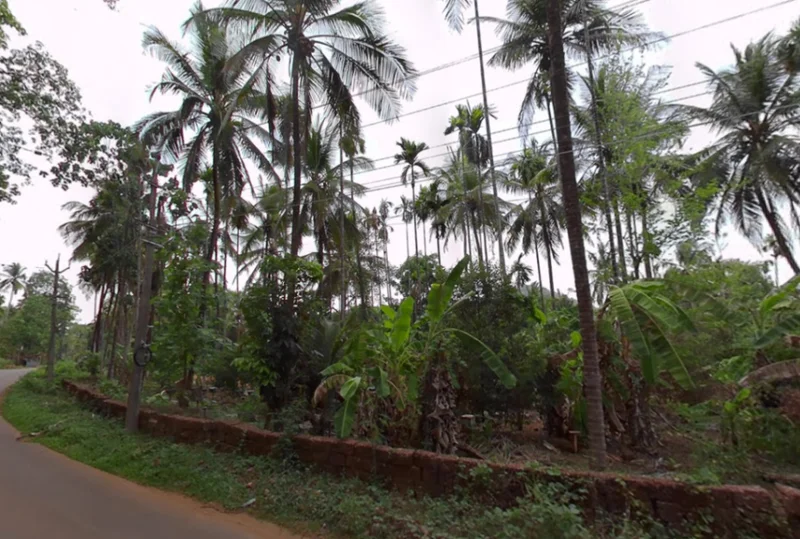 Bhagamandala, Karnataka 571247, India preview 3