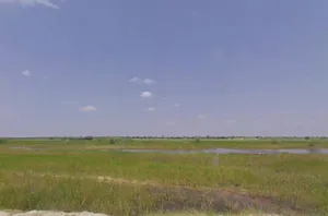 Khedapati Balaji Marg, Vyas Colony, Madhorajpura, Rajasthan 303006, India preview 2