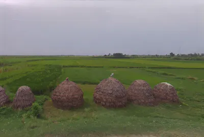 Kankather, Uttar Pradesh 244235, India preview 2