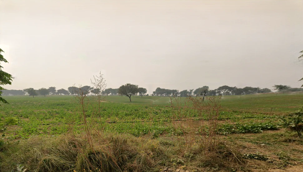 Hetampura, Haryana 127029, India