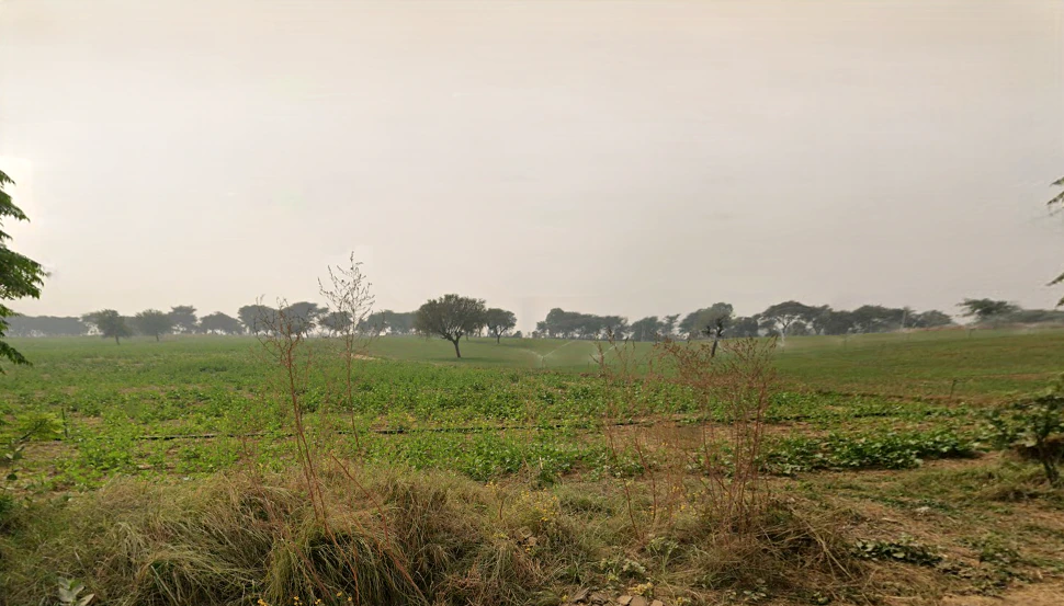 Hetampura, Haryana 127029, India