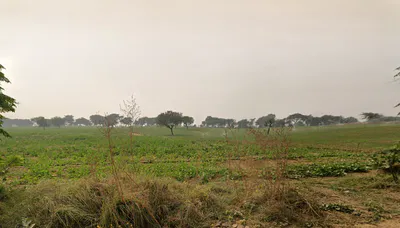 Hetampura, Haryana 127029, India preview 2