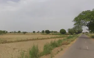 Dayalpur, Haryana, India preview 2