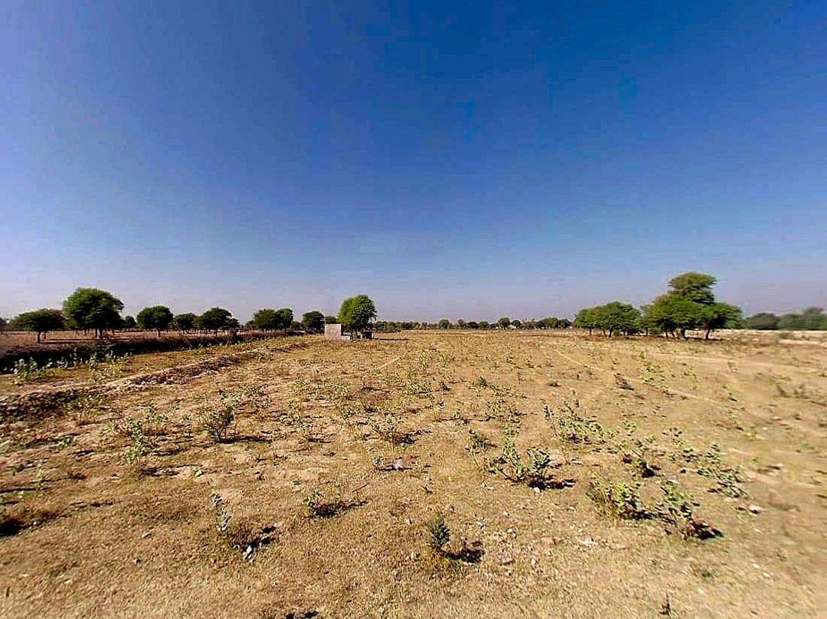 RCXH+49C, Kot Jewar Rd, Boraj, Kot Jewar, Rajasthan 303338, India