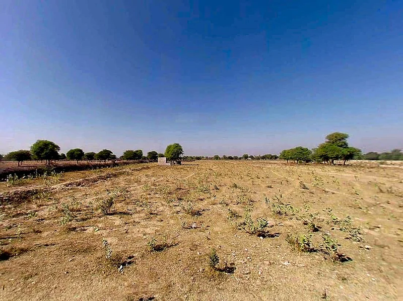 RCXH+49C, Kot Jewar Rd, Boraj, Kot Jewar, Rajasthan 303338, India preview 3