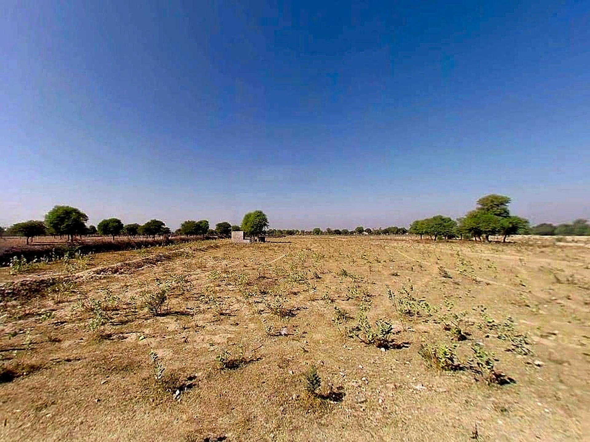 RCXH+49C, Kot Jewar Rd, Boraj, Kot Jewar, Rajasthan 303338, India