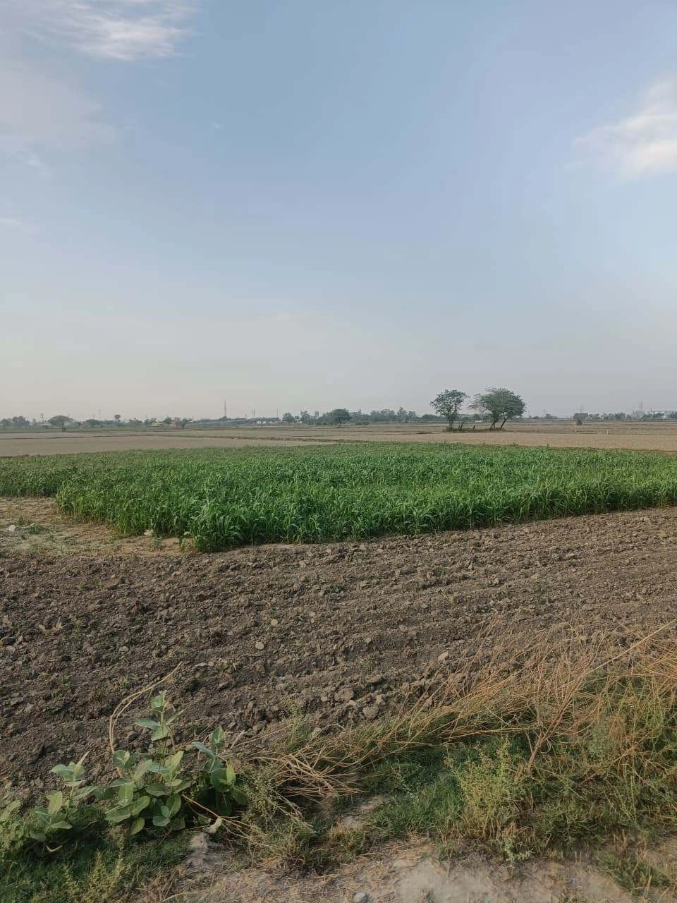 Aou, Rajasthan, India preview 2