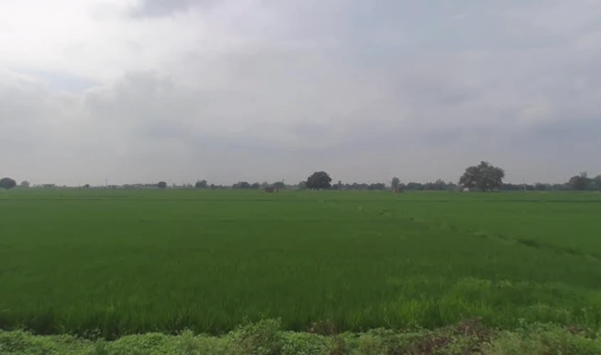 Madhupur, Uttar Pradesh 231216, India