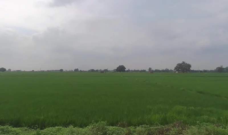 Madhupur, Uttar Pradesh 231216, India preview 2