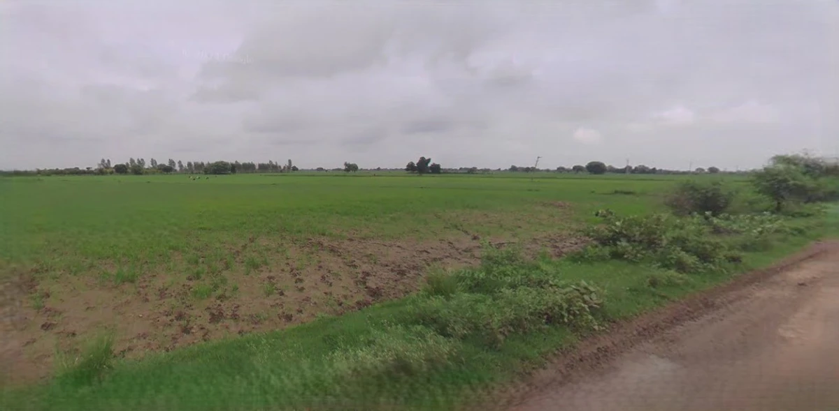 Barnagar, Madhya Pradesh 456771, India