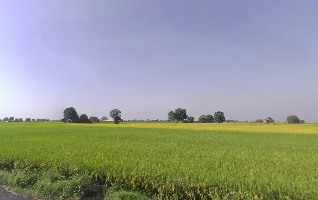 Jhalap, Chhattisgarh 493551, India