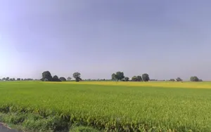 Jhalap, Chhattisgarh 493551, India preview 3