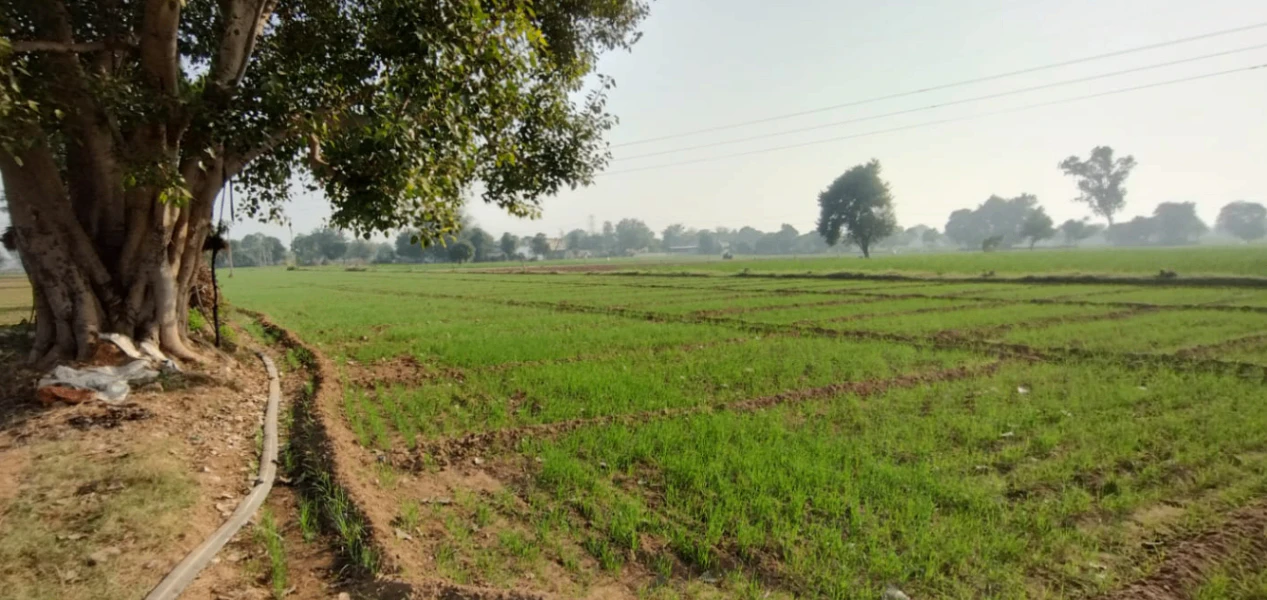 Mallian, Punjab, India