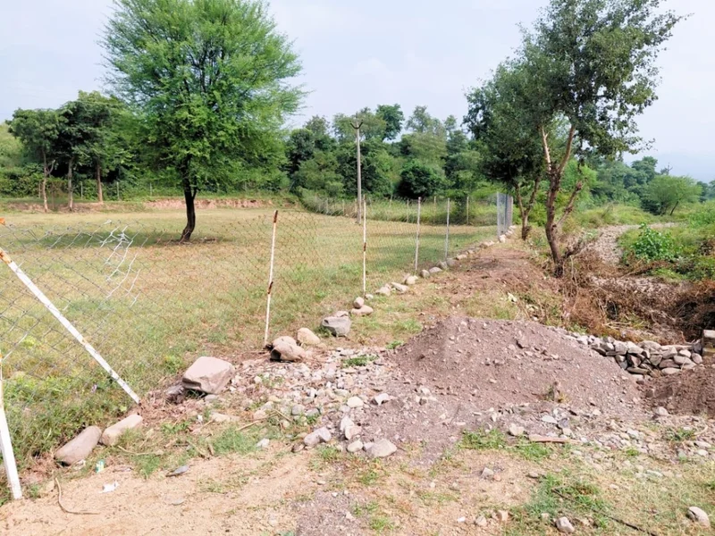 Sector 4,5, PKUC, Pinjore, Bhogpur, Haryana 134104, India preview 2