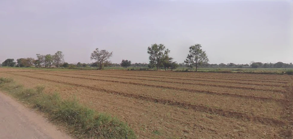 Shikarpur, Uttar Pradesh 203395, India