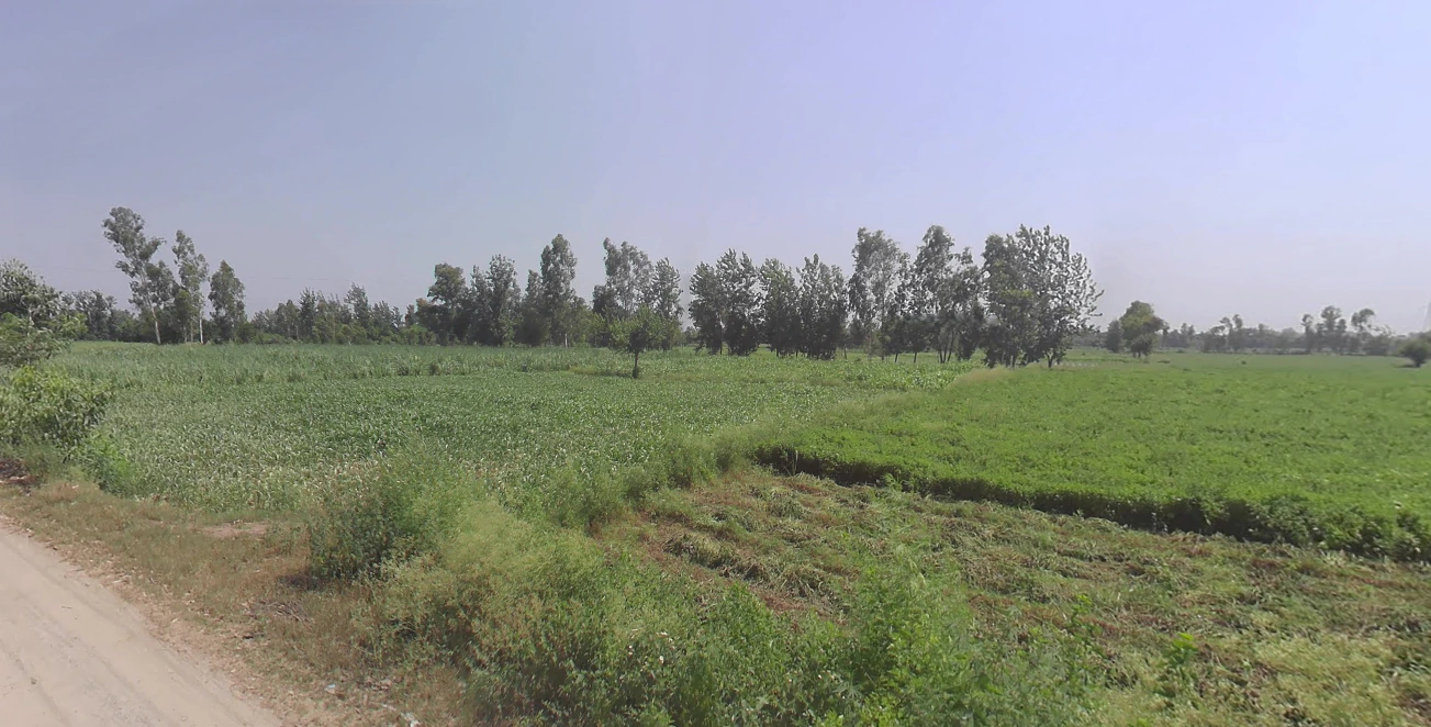 Tanda, Uttar Pradesh 244925, India